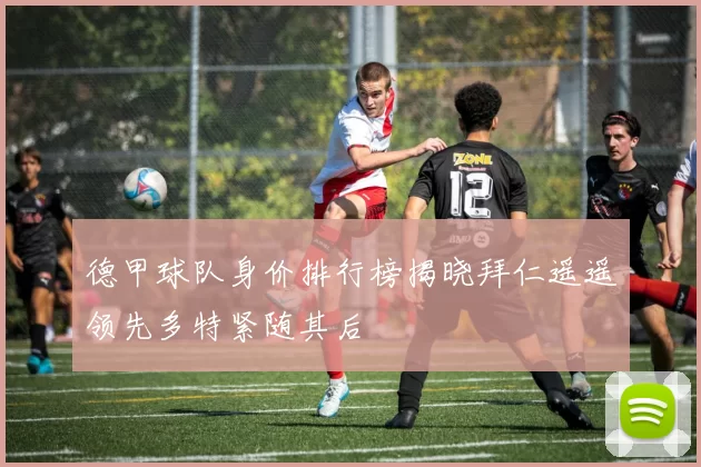 德甲球队身价排行榜揭晓拜仁遥遥领先多特紧随其后