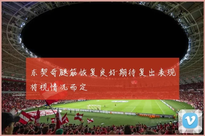 东契奇腿筋恢复良好期待复出表现将视情况而定